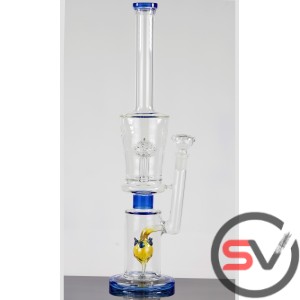 DRAGON FRUIT DOUBLE CHAMBER